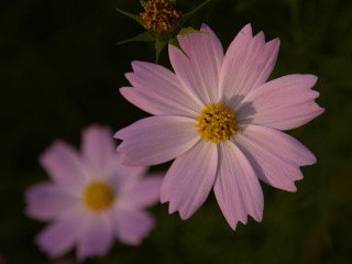 e0112213_122118.jpg