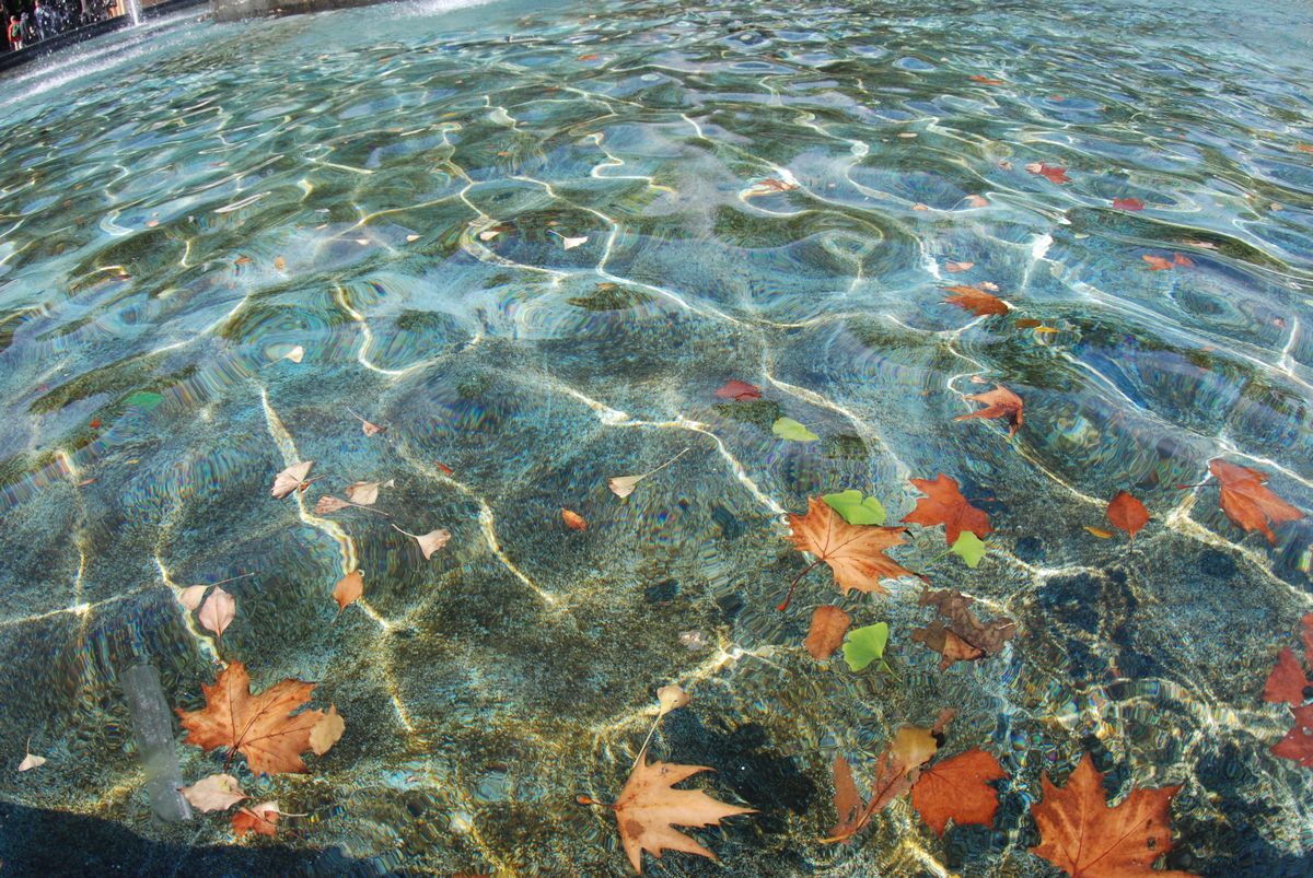 水のある風景_f0133213_1719331.jpg