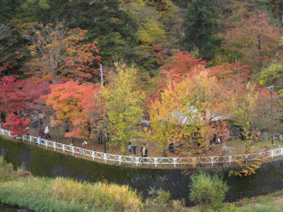 b0147224_15222612.jpg