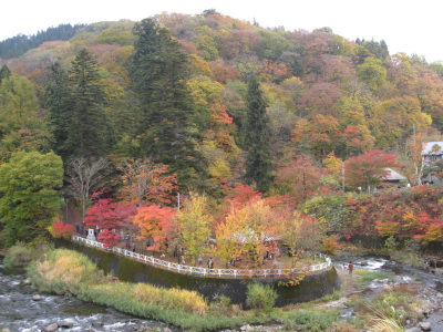 b0147224_1522317.jpg