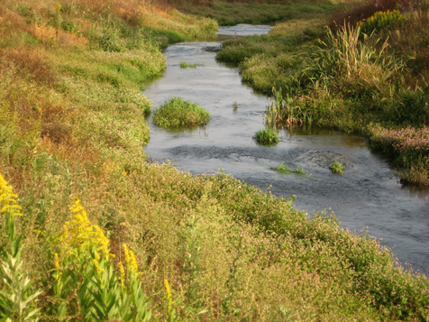 c0038424_23462397.jpg