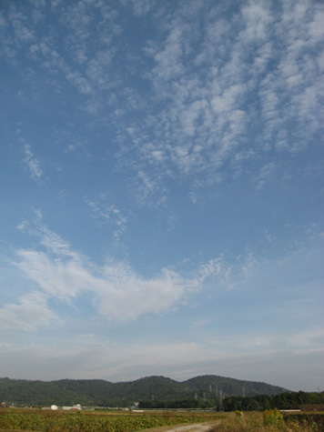c0038424_23463747.jpg