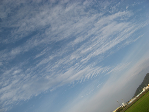 c0038424_23465116.jpg