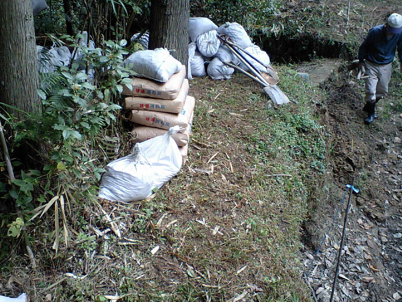 c0117028_1531209.jpg