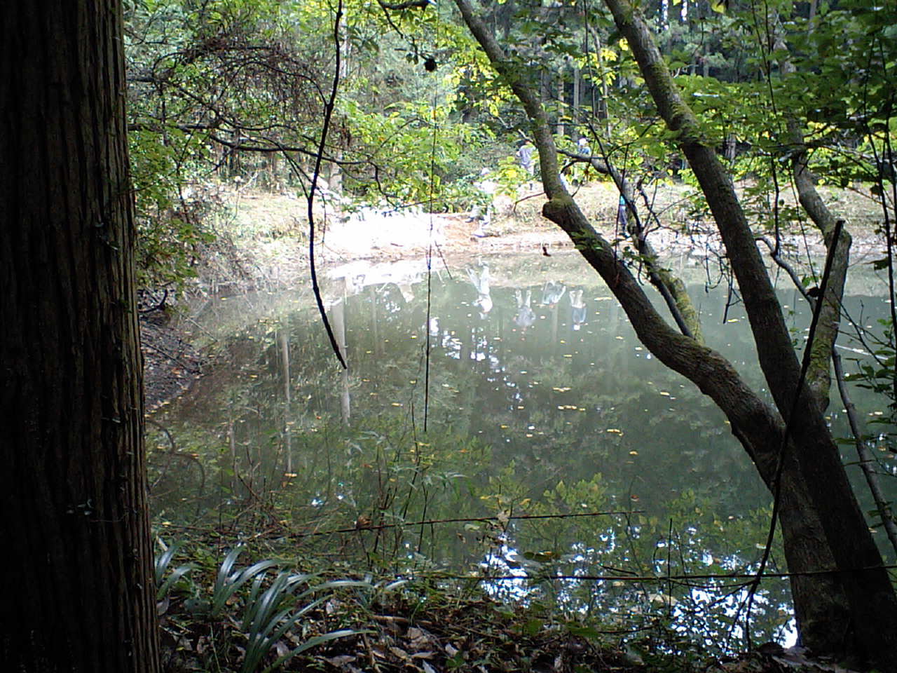 c0117028_15563755.jpg