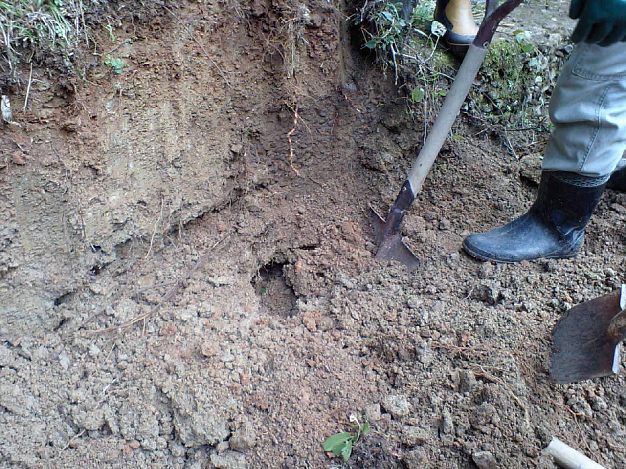 c0117028_157189.jpg