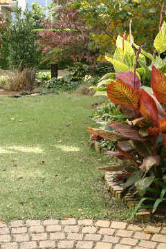 f0002534_17858.jpg