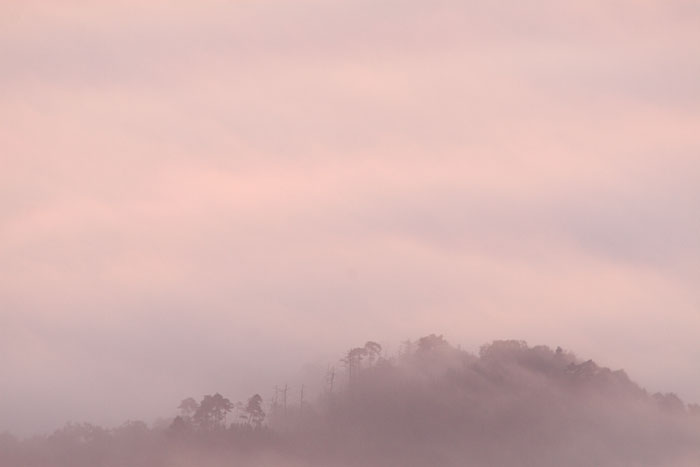 大岡山の雲海　２_c0067040_22333850.jpg