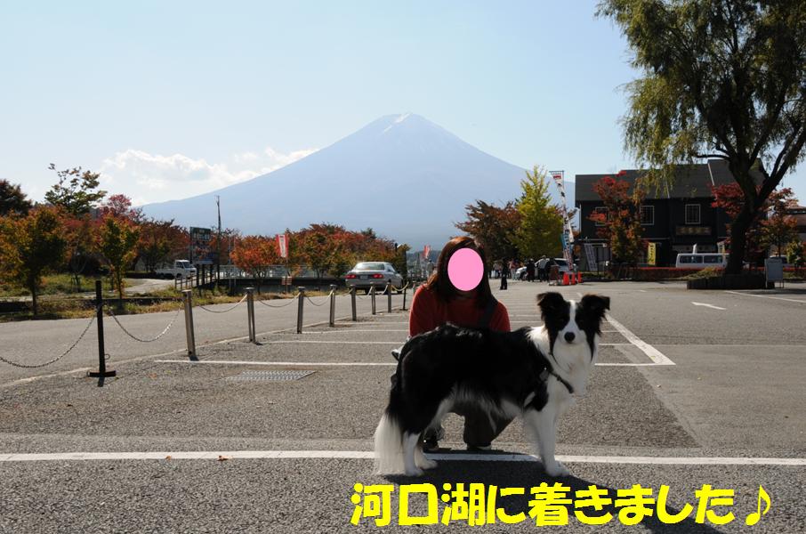 c0147241_213217.jpg