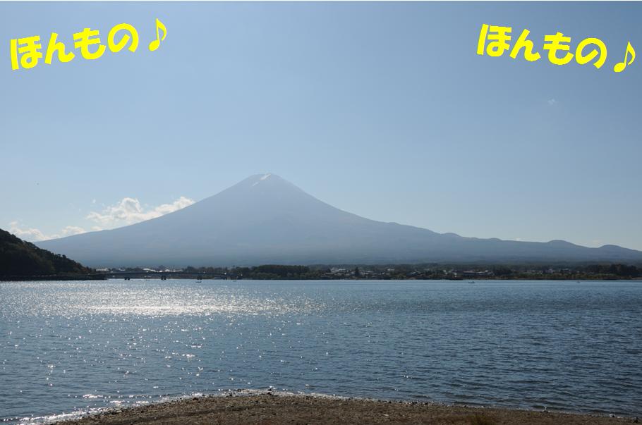c0147241_2134842.jpg