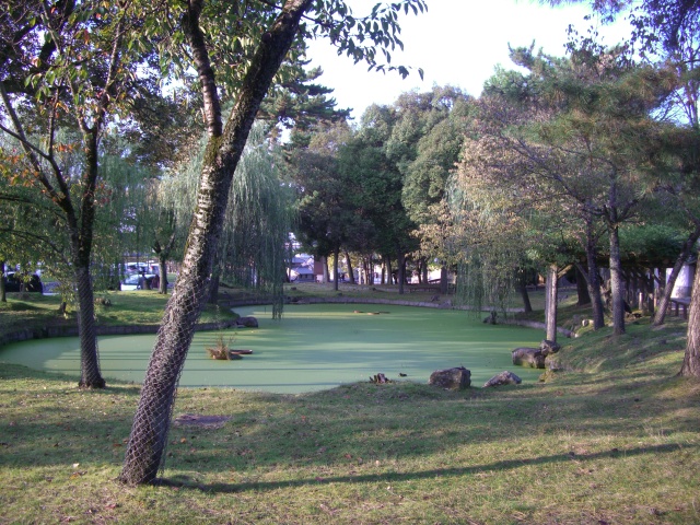 b0039246_172377.jpg