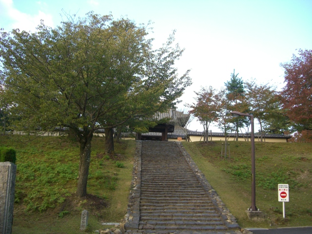 b0039246_17433.jpg