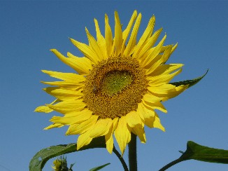 c0100848_17455714.jpg