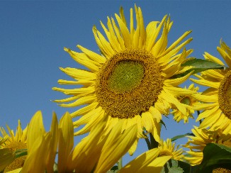 c0100848_17461548.jpg