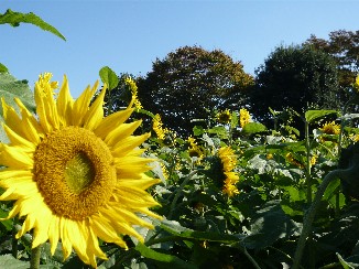 c0100848_17465990.jpg