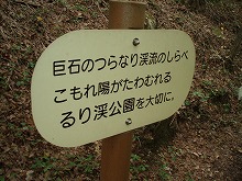 d0048350_21232396.jpg