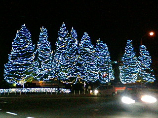 d0139352_1281950.jpg