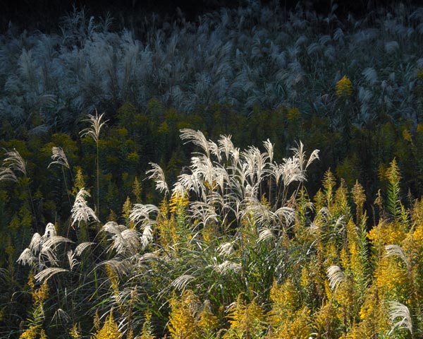 e0035757_18292590.jpg
