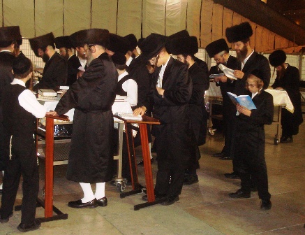 f0193757_8192.jpg