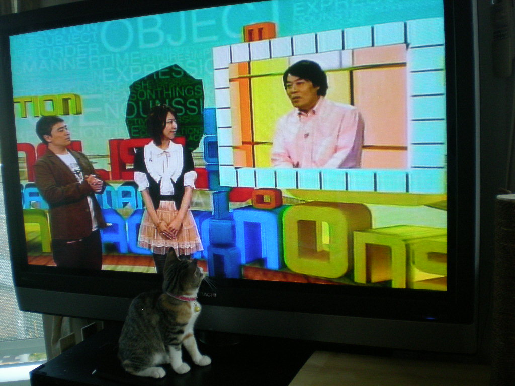 2008年11月2日(日)アップルケーキ作ったよ~!_f0060461_17375.jpg