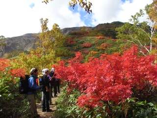 白山登山_f0083262_10462924.jpg