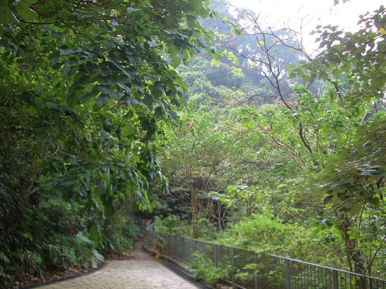 e0155771_19393960.jpg