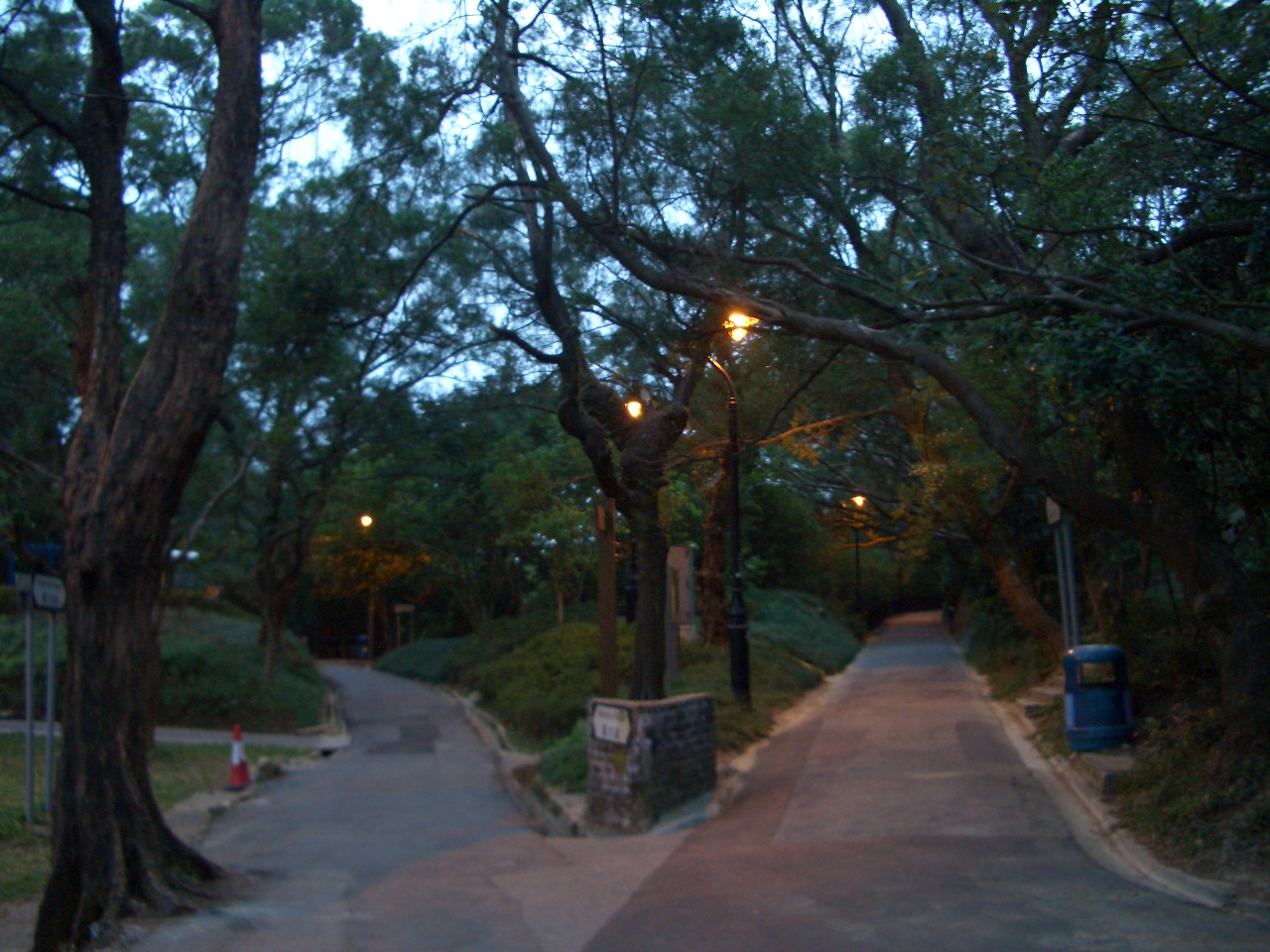 e0155771_20125110.jpg