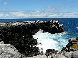 e0003272_15678.jpg