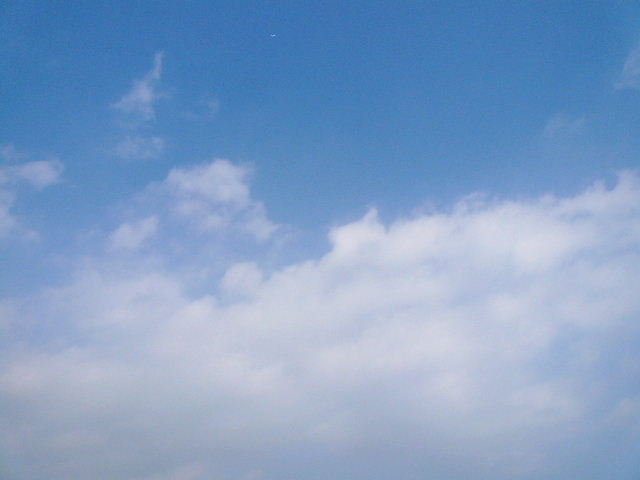 f0151872_22374570.jpg