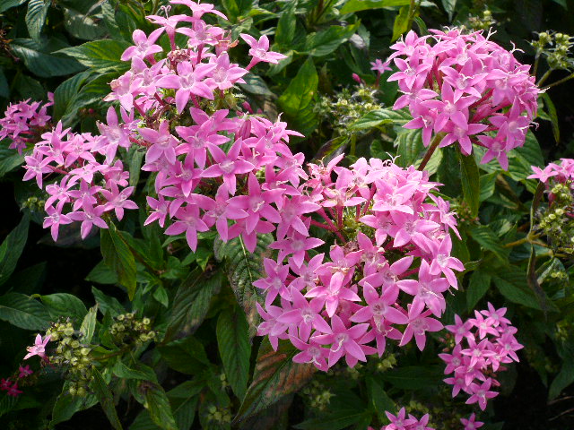 f0151872_2240587.jpg
