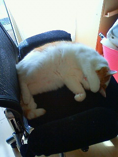 むにゃむにゃ…_f0195978_1313059.jpg