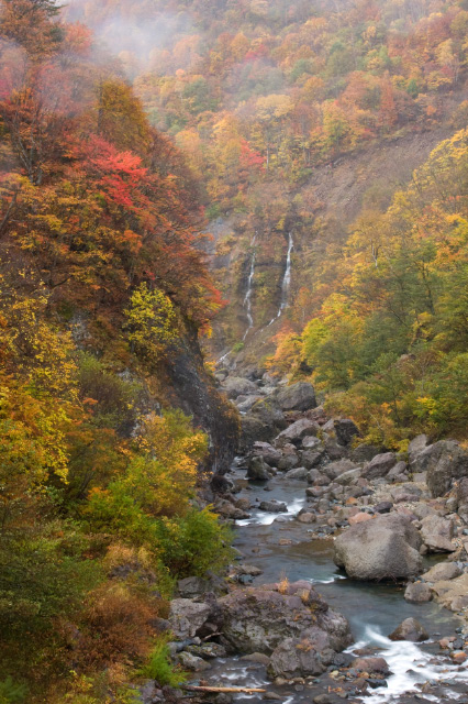 長野県 栄村 信州秋山郷_c0092386_20494223.jpg