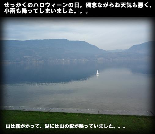 c0164491_8262426.jpg