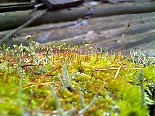 b0028598_19402562.jpg