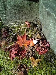 b0028598_19442273.jpg