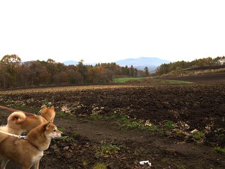 草津にて紅葉と露天風呂_f0109601_22334228.jpg