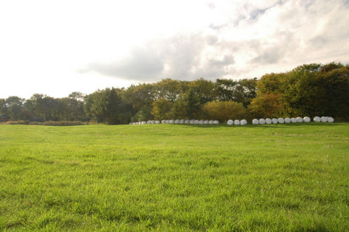 e0083204_20402841.jpg
