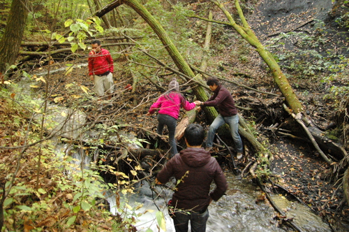 e0083204_20412699.jpg