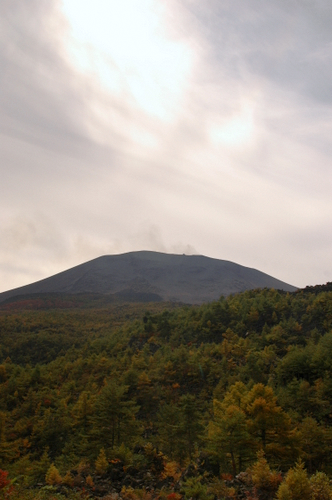 e0083204_20471628.jpg