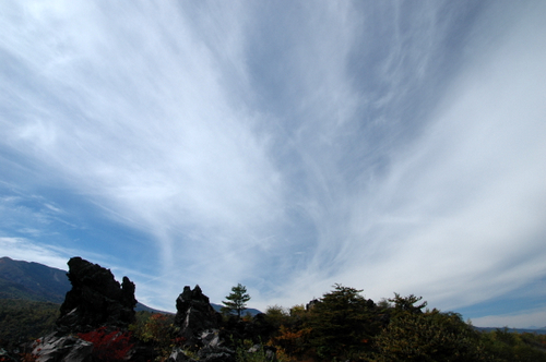 e0083204_20495571.jpg