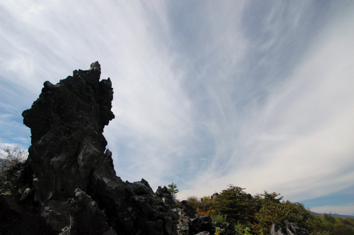 e0083204_20502615.jpg