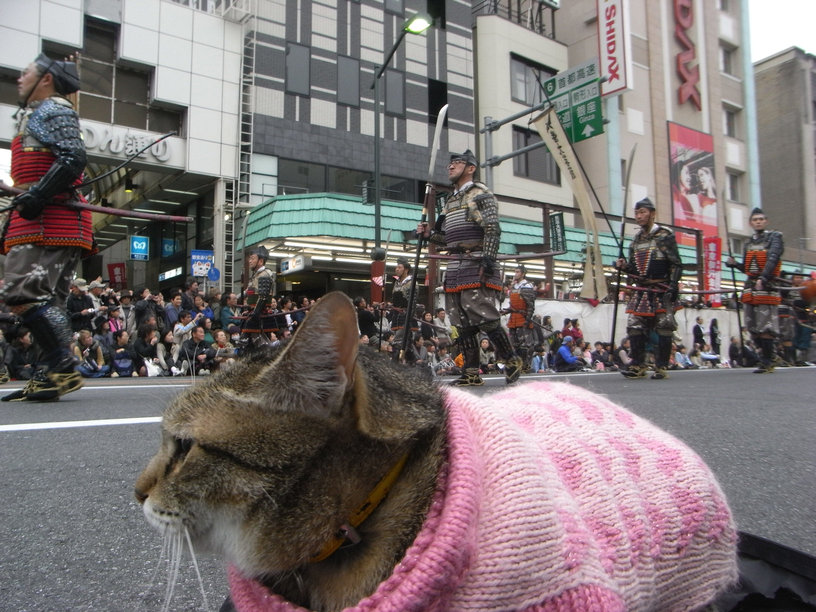 東京時代まつり 174 11 03 チビの日記