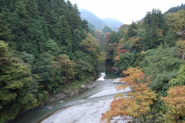 b0024611_1843866.jpg