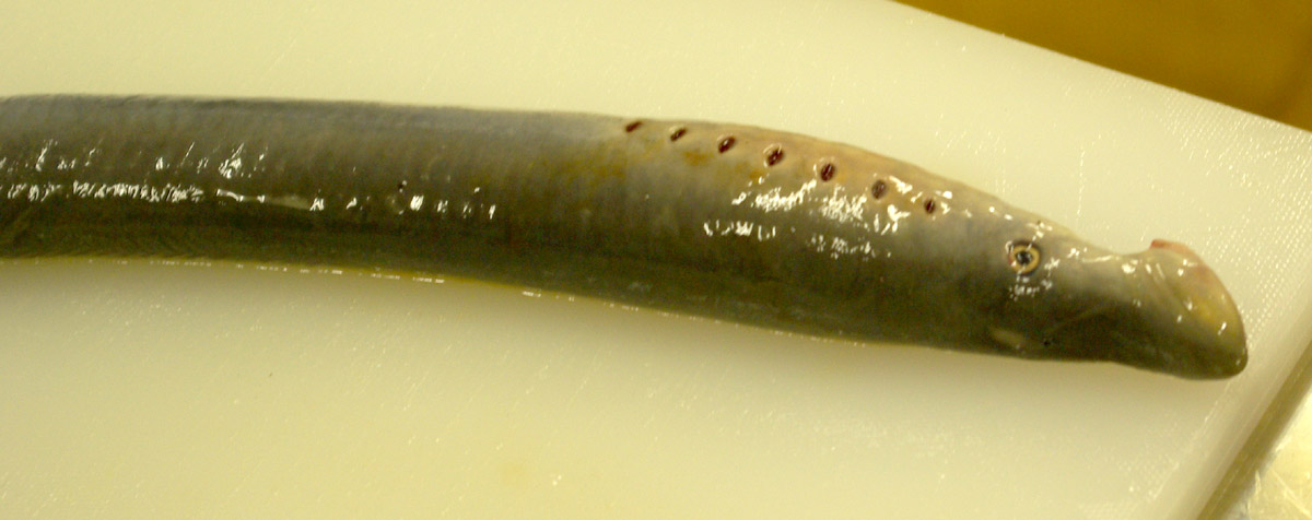 e0142611_105322.jpg