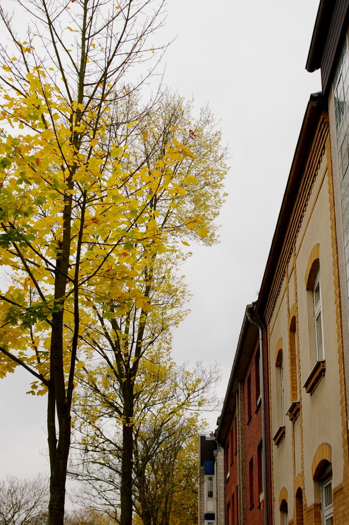 b0148617_1301361.jpg