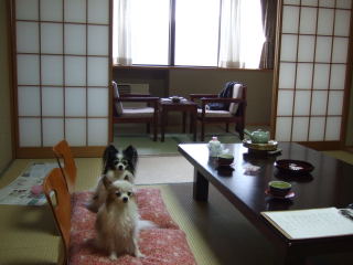 d0046031_234413.jpg