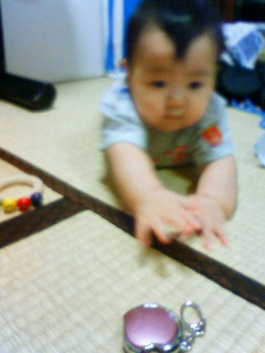 e0036931_0152269.jpg