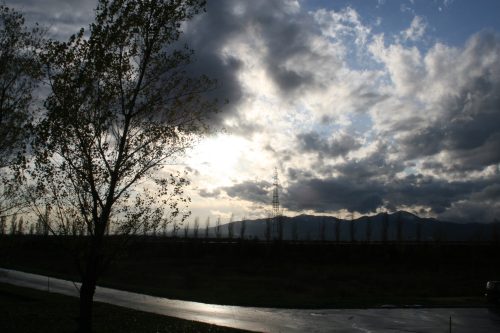 b0006537_17562562.jpg