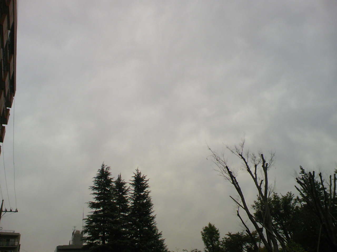 c0125637_84610100.jpg