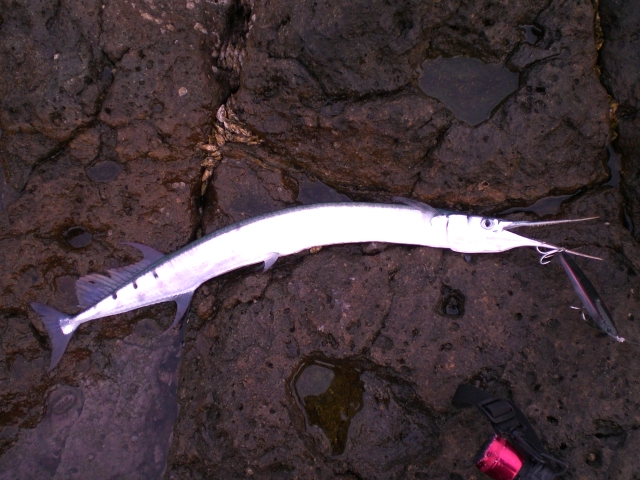 f0009238_1639585.jpg